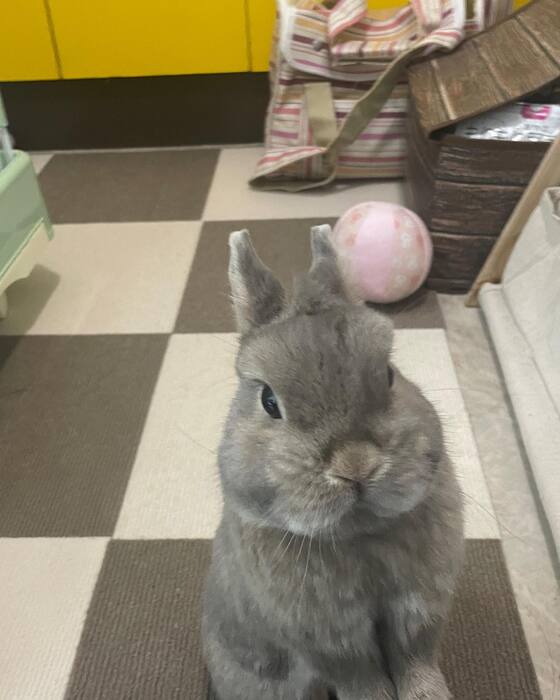 画像1155