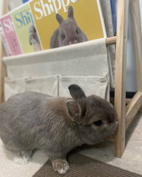 画像1157