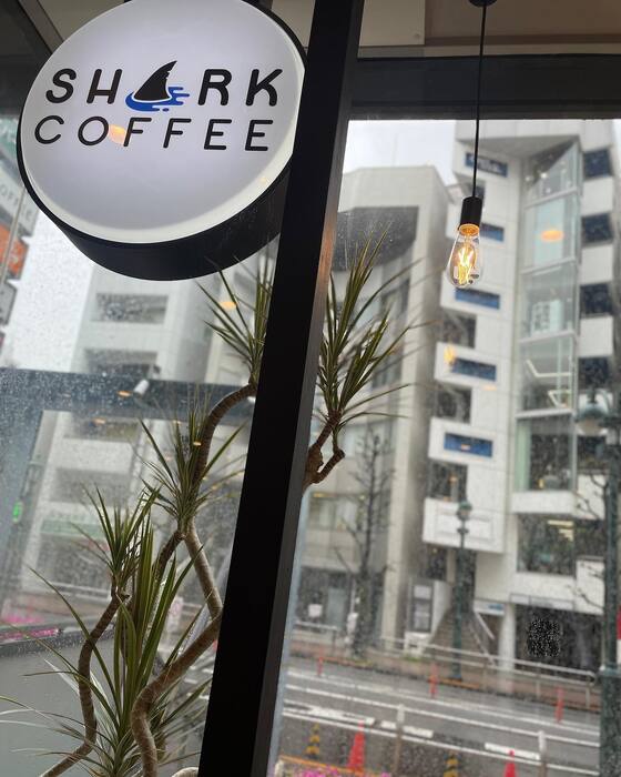 画像1655