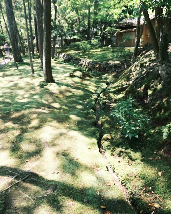 画像1978