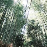 画像2008