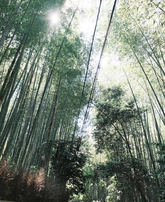画像2008