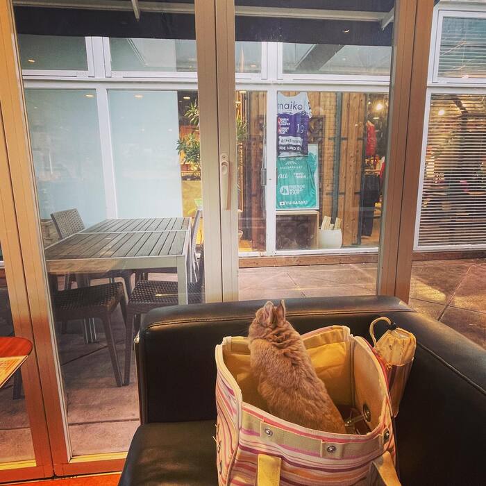 画像2084