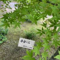画像2355