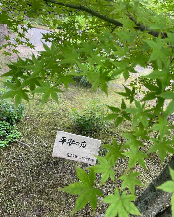 画像2355