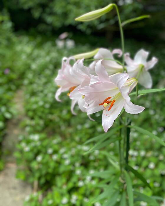 画像2356