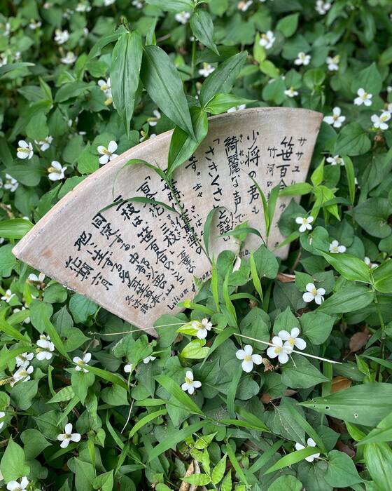 画像2357