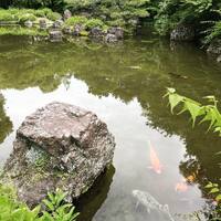 画像2359