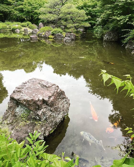 画像2359