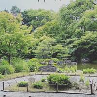 画像2360