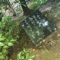 画像2363