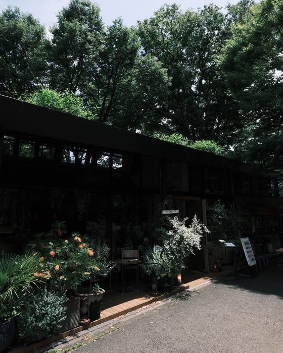 画像2488