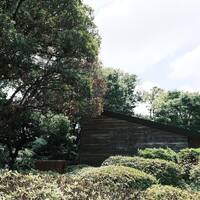 画像2489