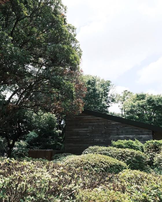 画像2489
