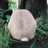 画像2500