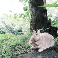 画像2501