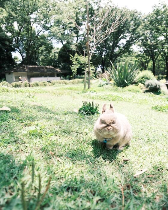 画像2502