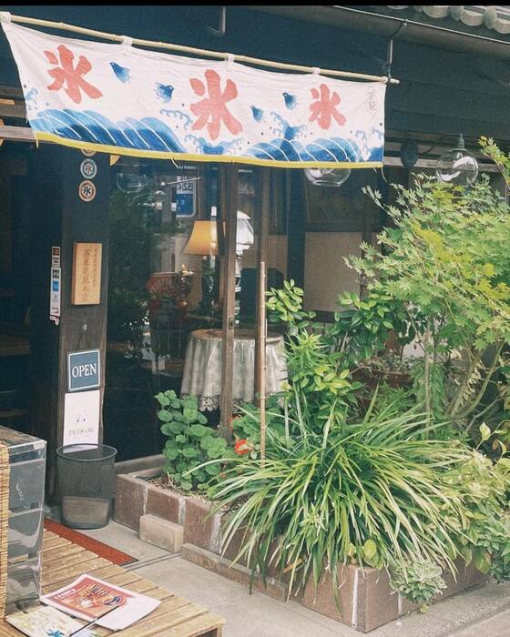 画像2684