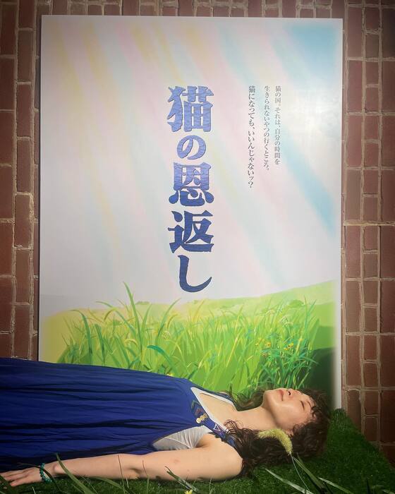 画像3053