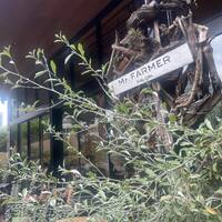 画像3244