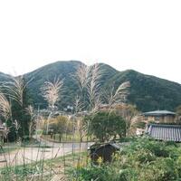 画像3536