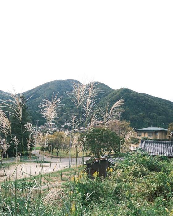 画像3536