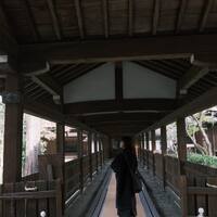 画像3750