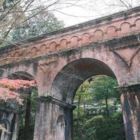 画像3765