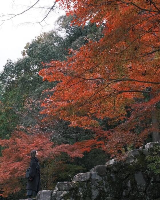 画像3773