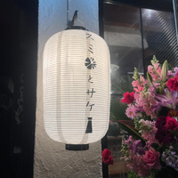 画像4100