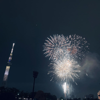 画像4286