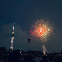 画像4288