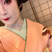 画像4418