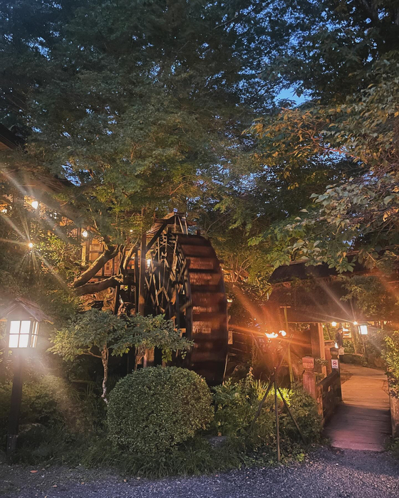画像4480
