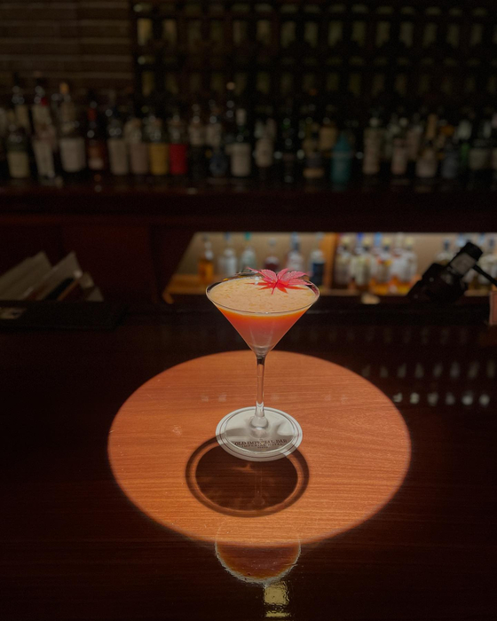 画像4525