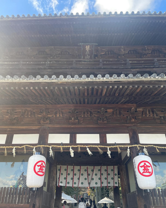 画像4547