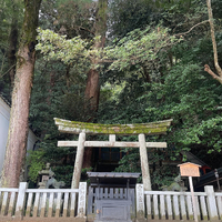 画像4549