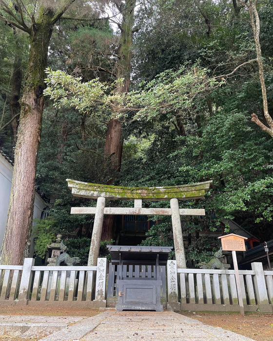 画像4549