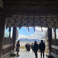 画像4550