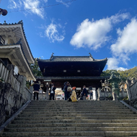画像4551