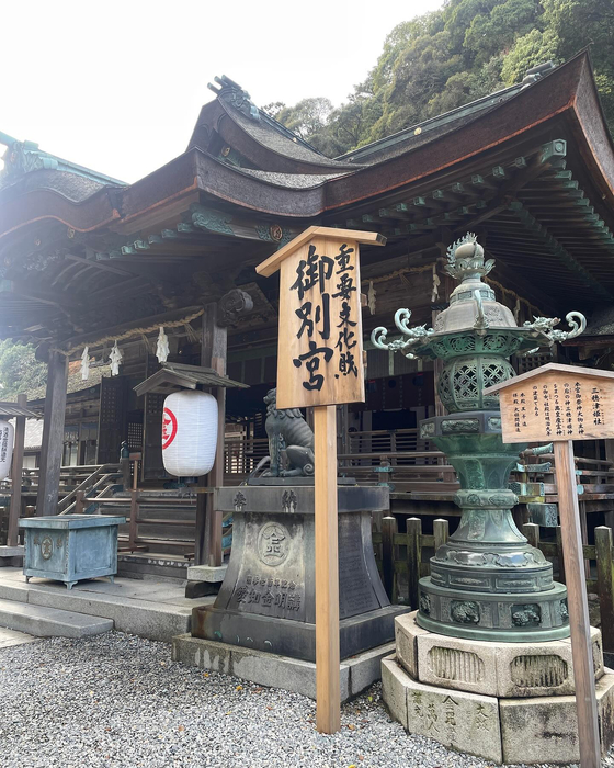 画像4554