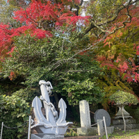 画像4556