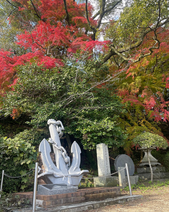 画像4556
