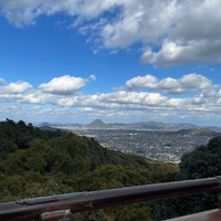 画像4559