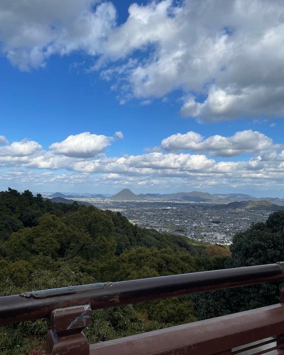 画像4559