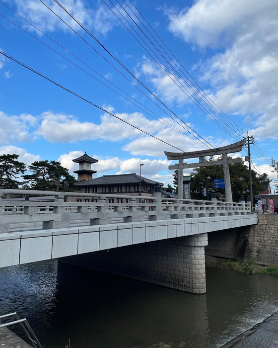 画像4573