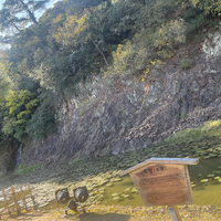 画像4611