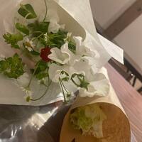 画像624