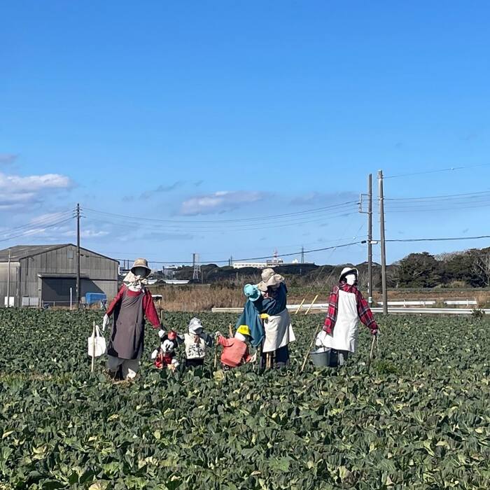 画像848