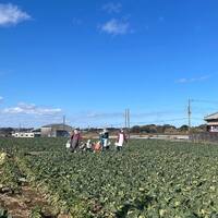画像849